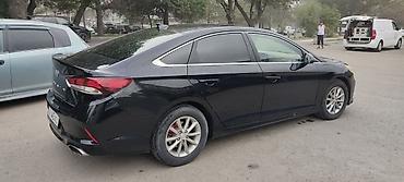 лабавой саната: Hyundai Sonata: 2019 г., 2.4 л, Автомат, Бензин, Седан — 4