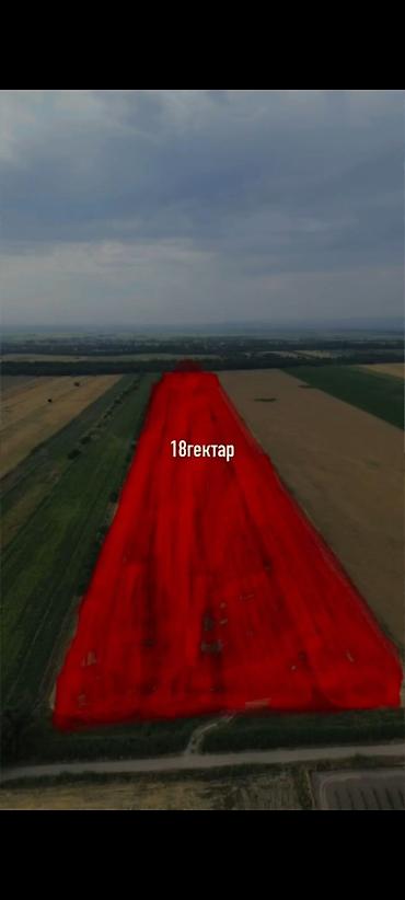 50 соток: 18 соток, Для сельского хозяйства — 1