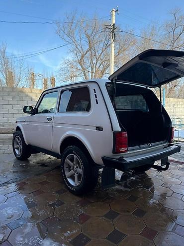 ВАЗ (ЛАДА): ВАЗ (ЛАДА) 4x4 Нива: 2012 г., 1.7 л, Механика, Бензин — 18