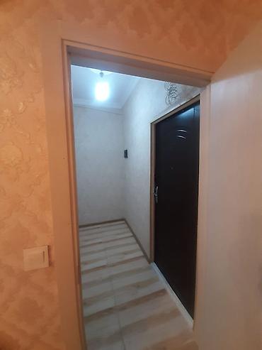 Mənzillər: 1 otaqlı mənzil – mətbəx və sanitar qovşaqla - Plan: 1 otaq, dəhliz — 7