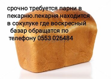болгарка бош 125: Срочно требуется парни в пекарню .Пекарня находится в сокулуке где