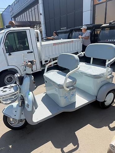 Microcar: Microcar : 2025 г., Электромобиль — 5