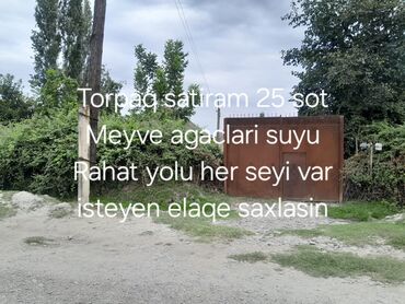 baş zəyzid torpaq: 25 sot, Mülkiyyətçi, Kupça (Çıxarış)