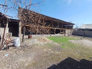 Продаю дом в селе Беловодское улица Калинина at lalafo.kg — 4 Продаю дом в селе Беловодское улица Калинина — 4