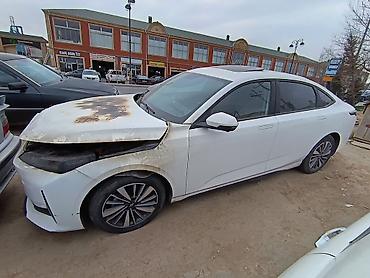 Tesla: Tesla : 1.5 l | 2024 il Sedan — 1