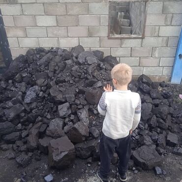 Уголь Шабыркуль: Продаю уголь Шабыркуль, уголь с доставкой на дом, сколько стоит уголь — 6