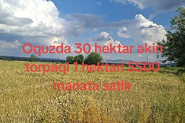 qubada torpaq sahesi satilir: 3000 sot, Kənd təsərrüfatı — 1