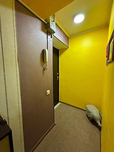 октябрьская: 2 комнаты, 43 м², Советская/Скрябина Хрущевка, 2 этаж, Свежий ремонт — 5