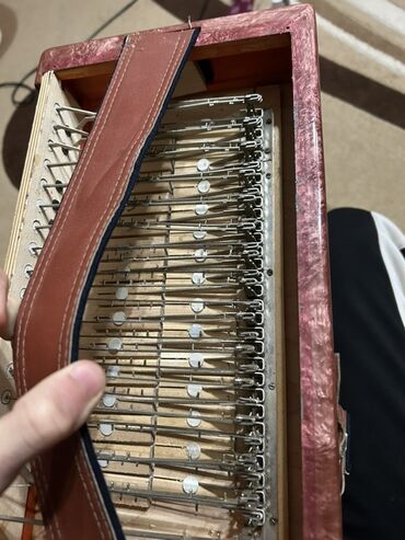 Akkordeonlar: Akustik Akkordeon — 7