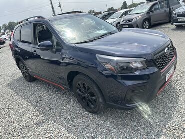 subaru forester бу: Subaru Forester: 2019 г., 2.5 л, Вариатор, Бензин, Кроссовер