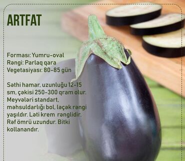 Toxumlar: Aluzze qarpiz toxumu — 10