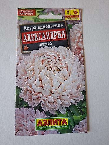 kameliya gulu: Məhsul: Mərcanotu (Margaritka) toxumları – 3 fərqli qarışıq Brend — 10