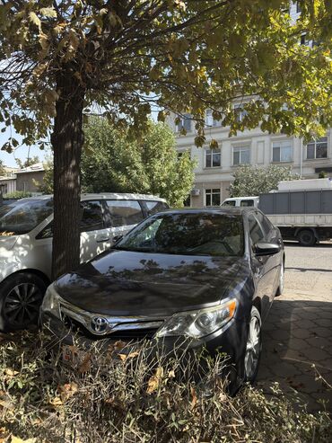 опрыскиватель садовый: Toyota Camry: 2014 г., 2.5 л, Автомат, Гибрид, Седан
