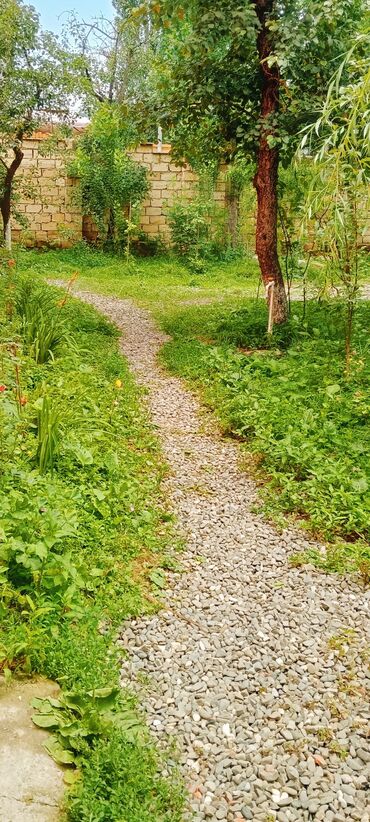 Günlük kirayə evlər: 90 kv. m, 3 otaqlı, İnternet, Telefon, Qaz — 22