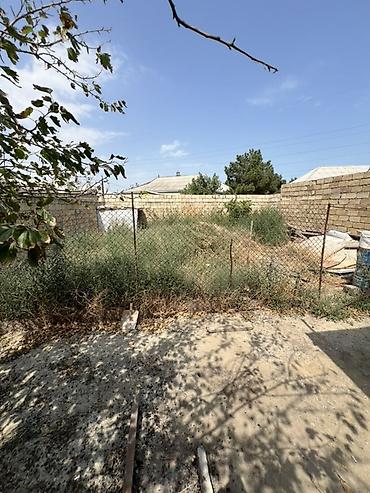 Torpaq sahələrinin satışı: 2 sotun içərisindədir, hasarı, darvazası var. Ev kubiklə tikilib, əsas -da lalafo.az — 4 Torpaq sahələrinin satışı: 2 sotun içərisindədir, hasarı, darvazası var. Ev kubiklə tikilib, əsas — 4