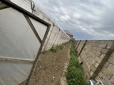 dam ortukleri: İstixana kompleksi – dam örtüyü karkaslı, tam işlək əkin sahələri və — 10
