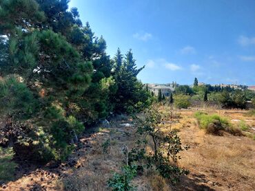 Torpaq sahələrinin satışı: 30 sot, Mülkiyyətçi, Kupça (Çıxarış), Bələdiyyə -da lalafo.az — 9 Torpaq sahələrinin satışı: 30 sot, Mülkiyyətçi, Kupça (Çıxarış), Bələdiyyə — 9