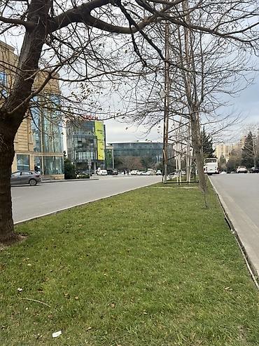 Uzunmüddətli kirayə mənzillər: Mənzilin təsviri: Gara Garaev Planet şagligin yani 5/3 3 ot 110 kv — 13