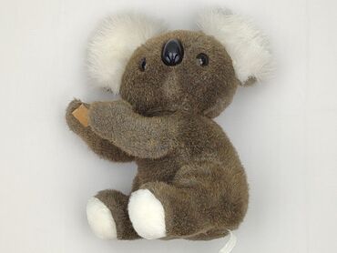 Mascot Teddy bear, condition - Perfect