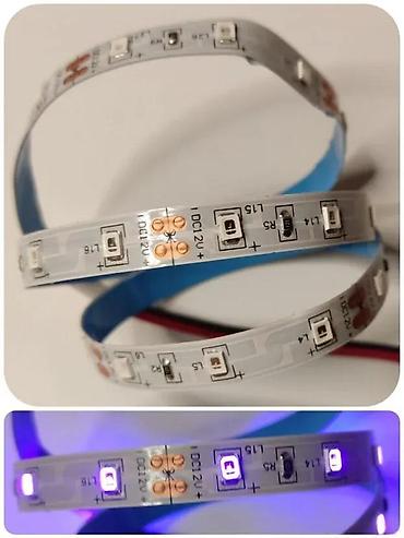 maxi staklene case: 5050 UV LED TRAKA 395NM - 405NM ULTRA VIOLET NAJJAČA 12V | *U ponudi — 6