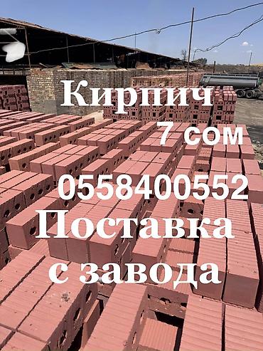 сливы школьни: Кирпич!!! Өзүзүбүздүн өндуруш Сапаты жакшы! Келип, көруп, чукулап — 1