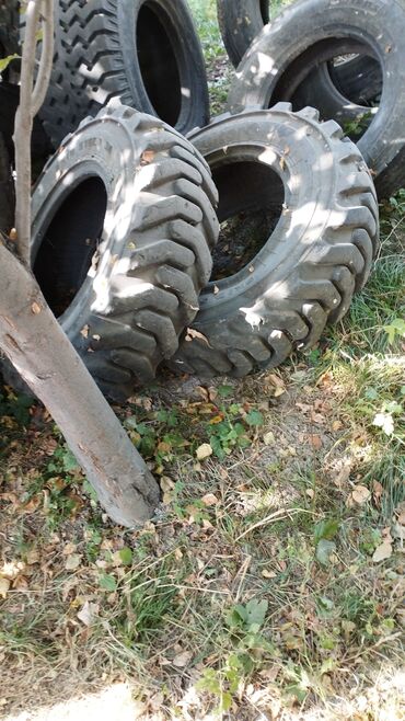 Шины: Продаются колёса на ЗИЛ -131, Урал,Газ66,Экскаватор, Т-150 at lalafo.kg — 17 Шины: Продаются колёса на ЗИЛ -131, Урал,Газ66,Экскаватор, Т-150 — 17