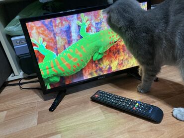 ТВ и видео: Б/у Телевизор Eurolux Led 24" HD (1366x768), Самовывоз, Платная доставка