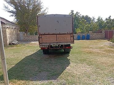 ГАЗ: Salam gazel Tecili satilir isteyen 051-856-07-89 nomresi ile elaqe — 3