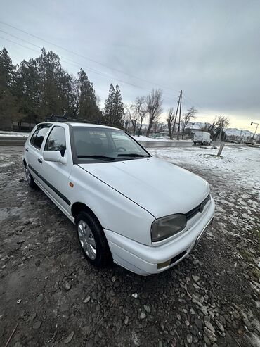 авто последующие выкуп: Volkswagen Golf: 1994 г., 1.6 л, Механика, Бензин, Хетчбек