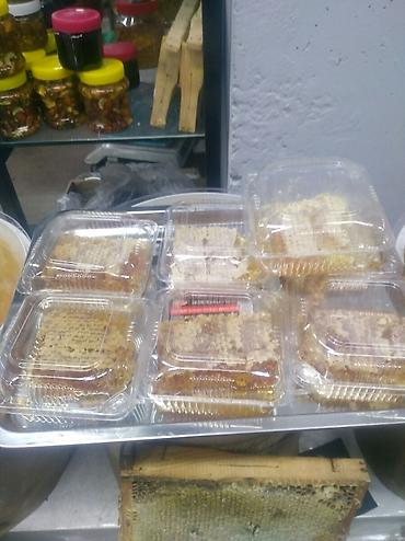 продаю пасеку: Мёд и другие продукты пчеловодства. Огнёвка. Перга. Пыльца. Белый мед — 8