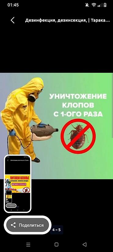 для тараканов: Дезинфекция, дезинсекция, | Тараканы, | Квартиры — 4