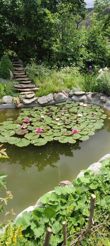 Продажа домов: Дача, 65 м², 4 комнаты, Собственник, Евроремонт — 6