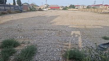 garaj satışı: Biznes üçün — 3