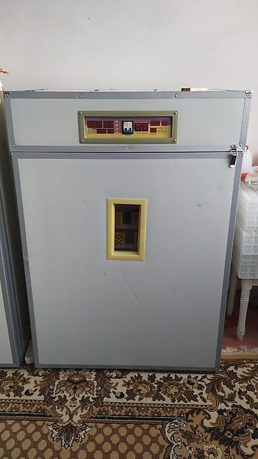 300 yumurta, Bütün növ quşlar üçün lalafo.az -da 300 yumurta, Bütün növ quşlar üçün