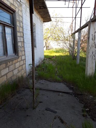 Həyət evləri və villaların satışı: Digah 4 otaqlı, 320 kv. m, Təmirsiz — 5