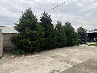 Продажа коттеджей и домов: Продается дом с просторным двором и хозяйственными постройками. - — 30