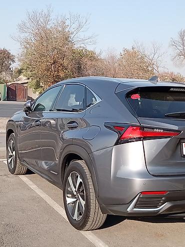 rx 450h: Lexus NX: 2020 г., 2.5 л, Вариатор, Гибрид, Кроссовер — 4