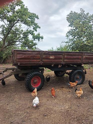 mini traktor satisi azerbaycanda: Ikisinin qiymətidir Kənd təsərrüfatı üçün ikioxlu qoşqu arabası - — 6