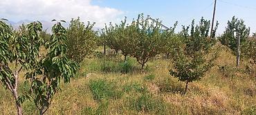 Продажа участков: 13 соток, Красная книга — 8