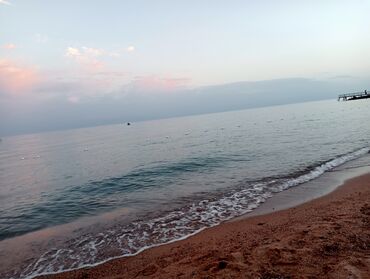 Демонтажные работы: Разбор полов, Снятие потолков, Демонтаж крыш | Демонтаж встроенных шкафов, Демонтаж керамогранита, Удаление краски | Сбивка старой штукатурки, Снятие извести, Снятие побелки | Демонтаж линолеума, Демонтаж плинтуса, Демонтаж теплого пола | Кровля из профнастила, Крыша из шифера, Металлочерепичная кровля 3-5 лет опыта — 8