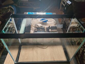 Akvariumlar: Dördbucaq akvarium, Balıqlarla birlikdə, 30 l, Pulsuz çatdırılma — 4