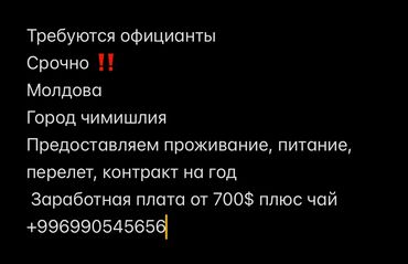 нават официант: Талап кылынат Официант Тажрыйбасыз, Төлөм Ай сайын