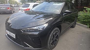 hozon: Hozon Neta L: 2024 г., 1.5 л, Автомат, Бензин, Кроссовер — 6