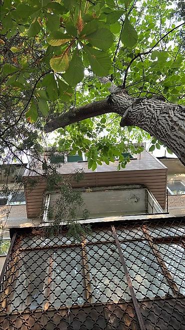 Курулуш жана оңдоо кызматтары: Балконду, лоджияны жылуулоо, Полдорду жылуулоо, Шыптарды жылуулоо | Үйдү жылуулоо, Батирди жылуулоо, Контейнерди жылуулоо Пенопласт, Пеноплекс, Минералдык жүн 6 жылдан ашык тажрыйба — 3