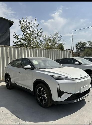 DongFeng 530 запас хода оформлен в комплекте зарядка полик +