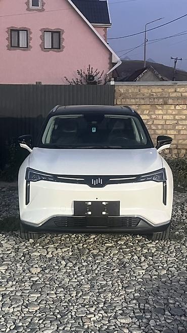 byd e1: Weltmeister W6, 2021 г., Передний, В наличии — 1