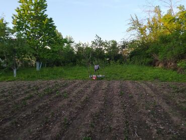 10000 ev: 6 sot, Kənd təsərrüfatı, Mülkiyyətçi, Kupça (Çıxarış)