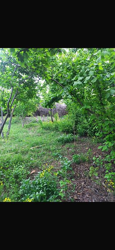 Torpaq sahələrinin satışı: 8 sot, Tikinti, Mülkiyyətçi, Kupça (Çıxarış) — 8