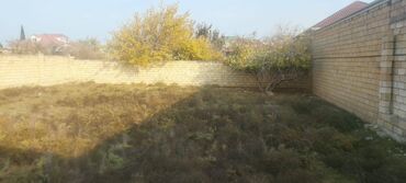 Torpaq sahələrinin satışı: 5 sot, Kupça (Çıxarış) — 2