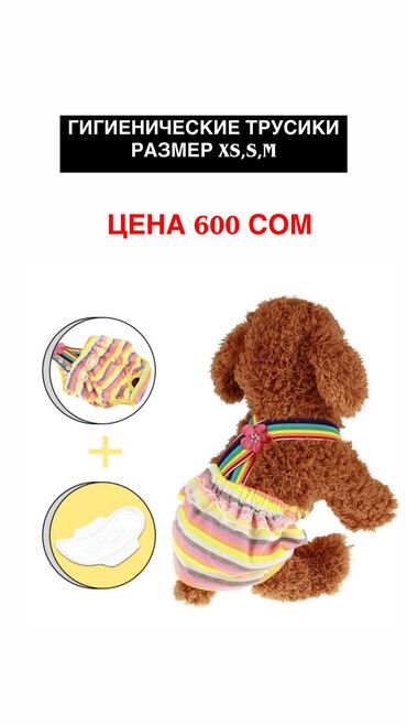 Зоотовары: Одежда для кошек и собак. Все НОВОЕ РАЗМЕР И ЦЕНА УКАЗАНЫ НА ФОТО — 11